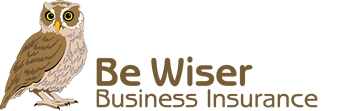 be wiser logo
